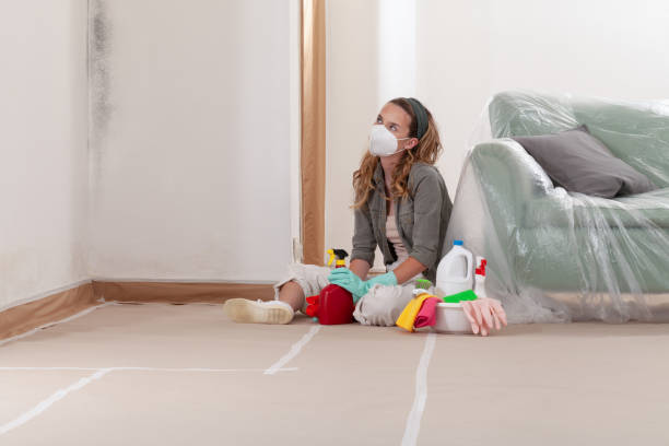 Reliable Mold Remediation contractor in Texas, TX by Mold Remediation HQ